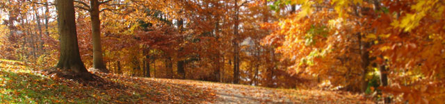 Carrigaline Union of Parishes Rotating Header Image