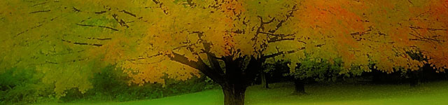 Carrigaline Union of Parishes Rotating Header Image