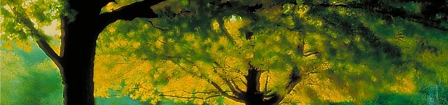 Carrigaline Union of Parishes Rotating Header Image